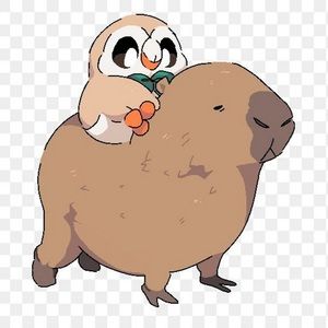 Meet your Posher, Peyton